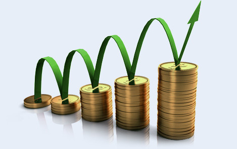 Wealth Creation & Growth